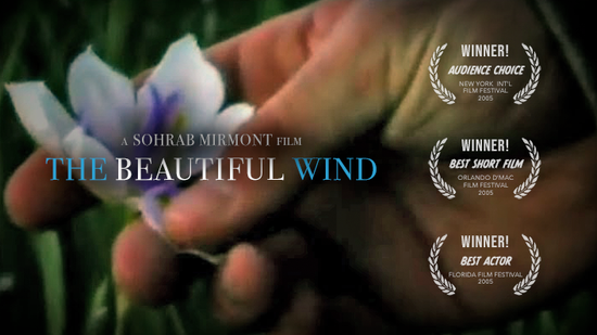 The Beautiful Wind